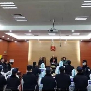 11人在广西桂林运作“西部大开发”传销项目被判刑